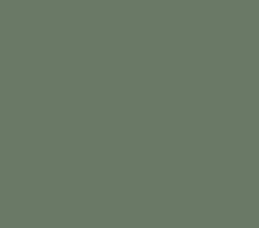 Preview for category view k521 smoke green